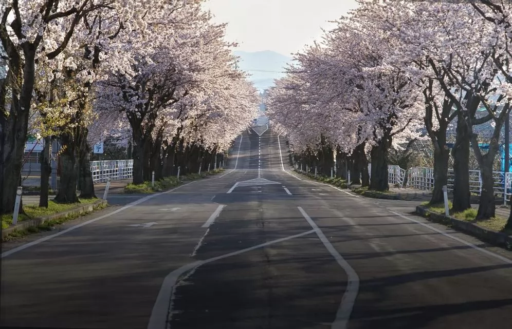 Japan Rail Pass: Hvordan utforsker man Japan med tog